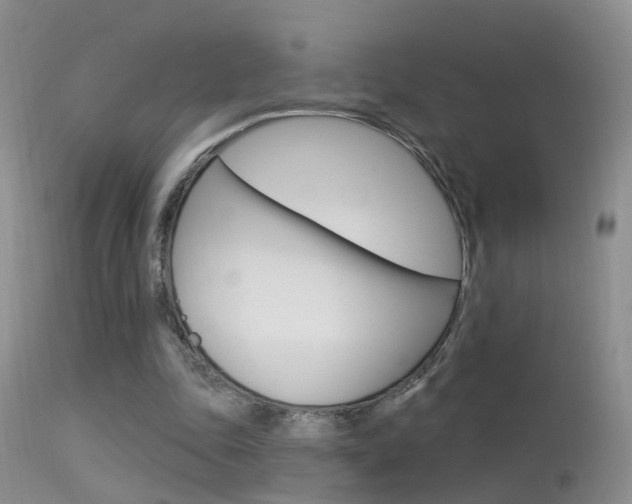 X0000113530343200909181005