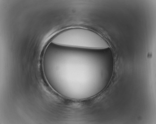 X0000113530344200909181005