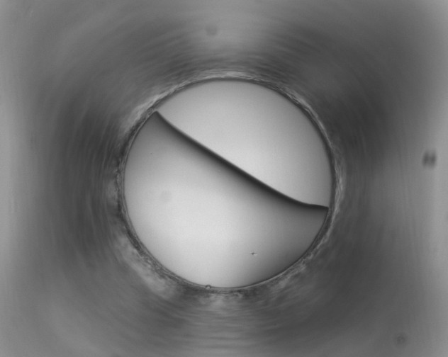 X0000113530345200909181005
