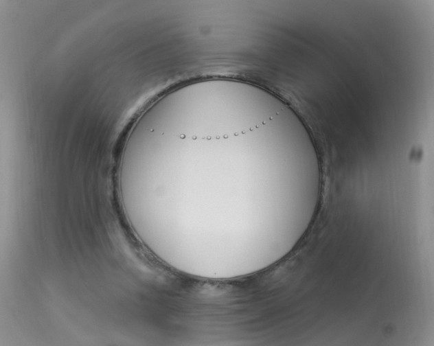 X0000113530346200909181005