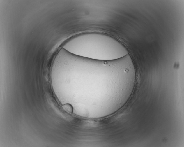 X0000113530347200909181005