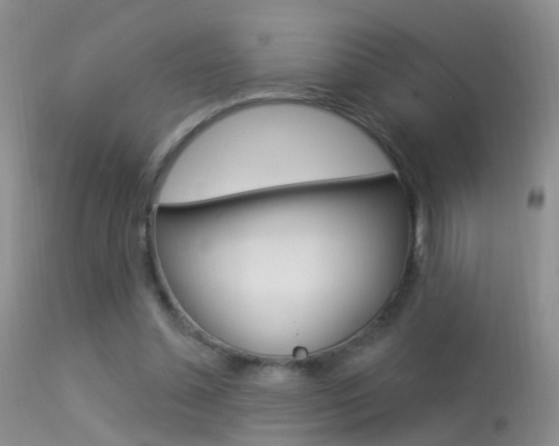 X0000113530348200909181005