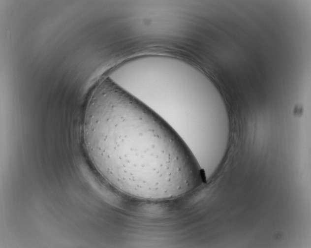 X0000113530349200909181005