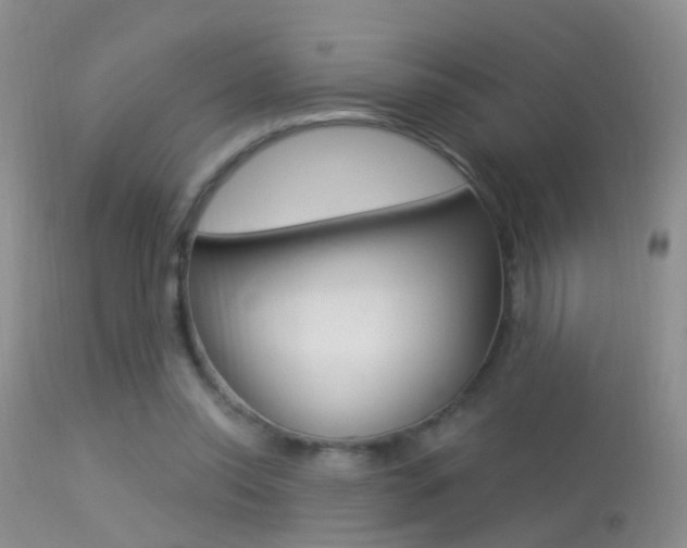 X0000113530350200909181005