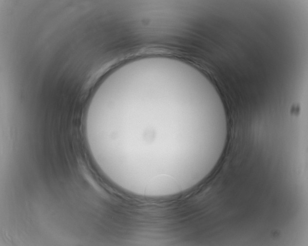 X0000113530352200909181005