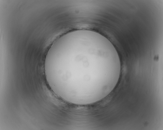 X0000113530353200909181005