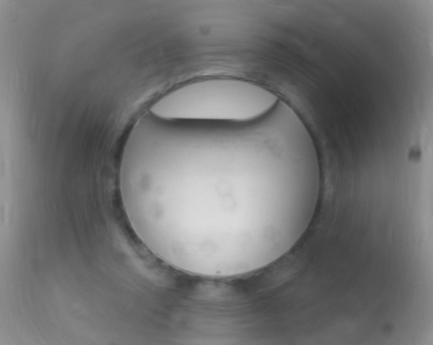 X0000113530354200909181005