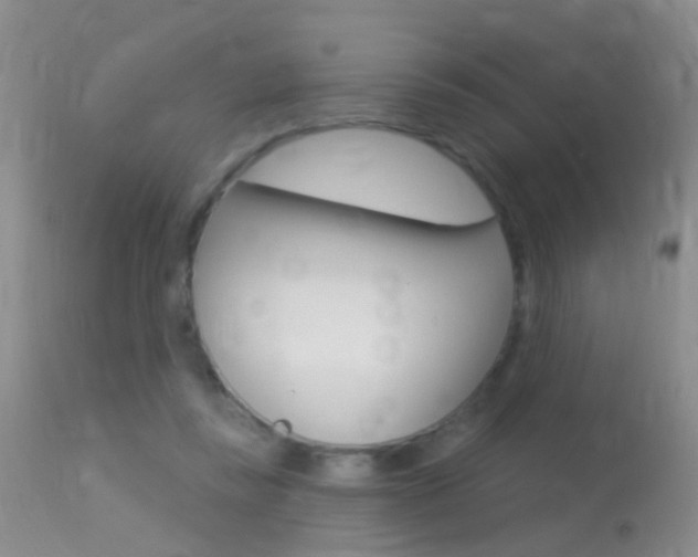X0000113530355200909181005