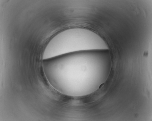 X0000113530356200909181005