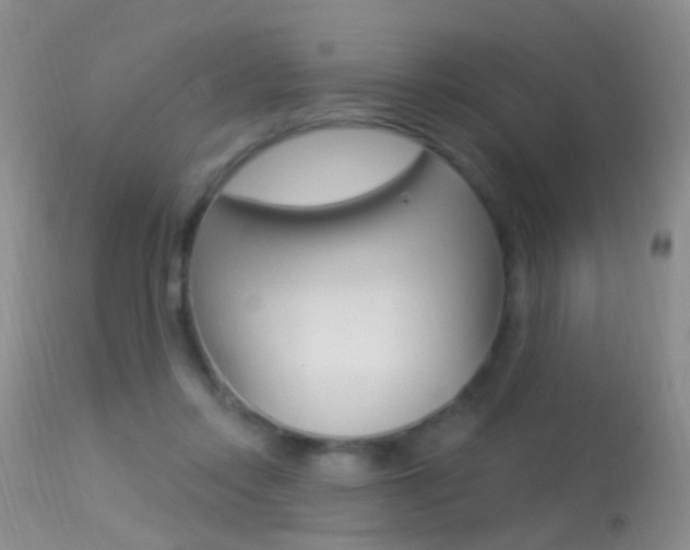X0000113530358200909181005