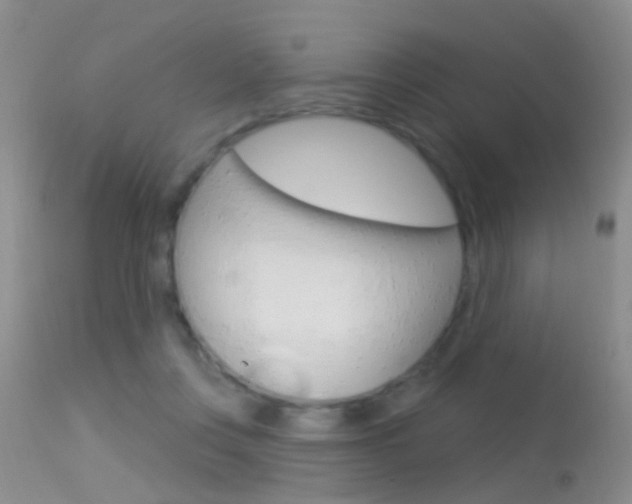 X0000113530359200909181005