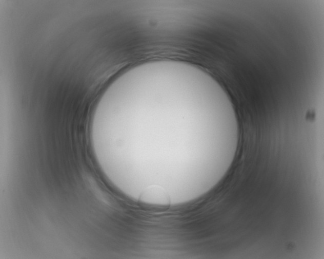 X0000113530360200909181005