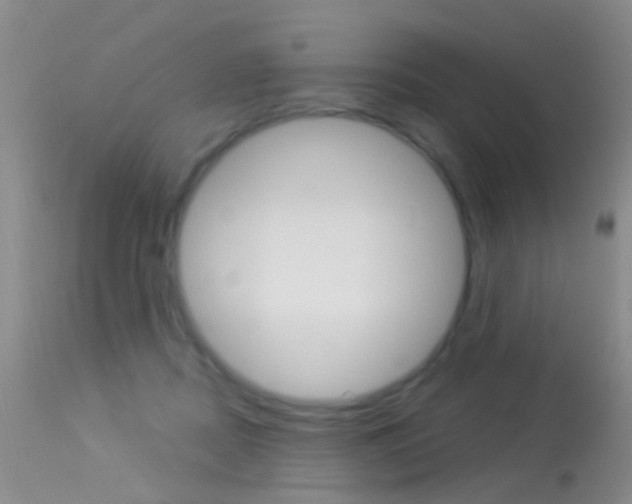 X0000113530362200909181005