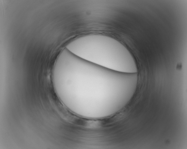 X0000113530363200909181005