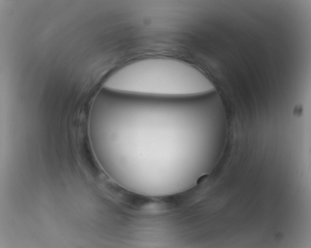 X0000113530364200909181005