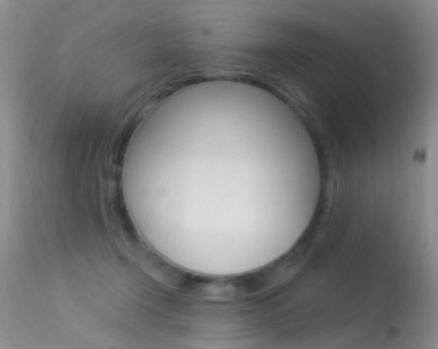 X0000113530366200909181005
