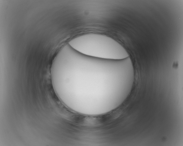 X0000113530367200909181005
