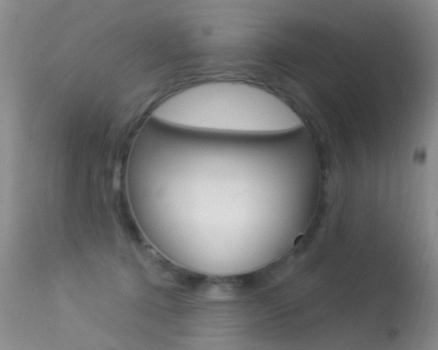 X0000113530368200909181005