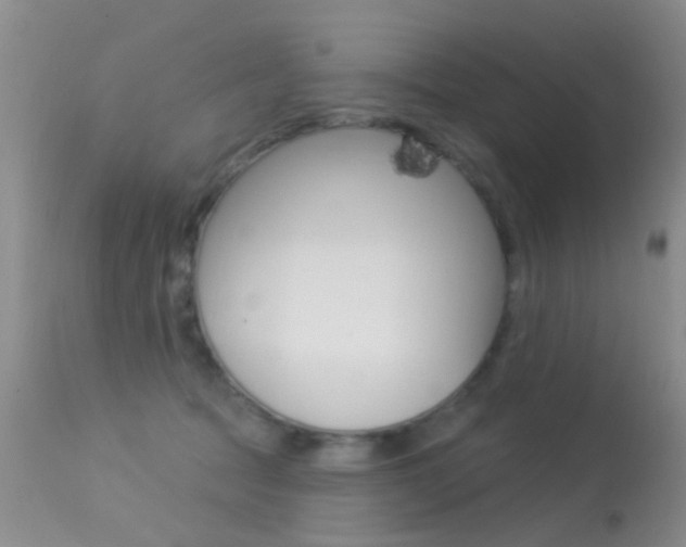 X0000113530369200909181005