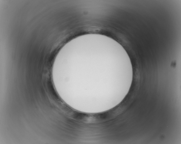 X0000113530370200909181005