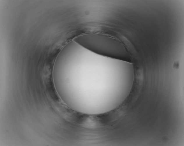 X0000113530372200909181005