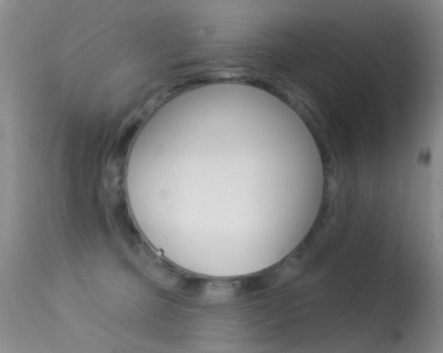 X0000113530373200909181005