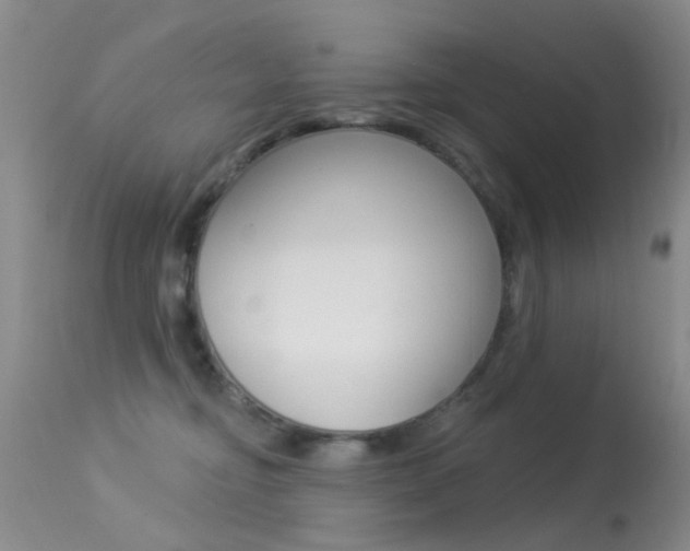 X0000113530374200909181005