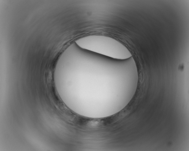 X0000113530375200909181005