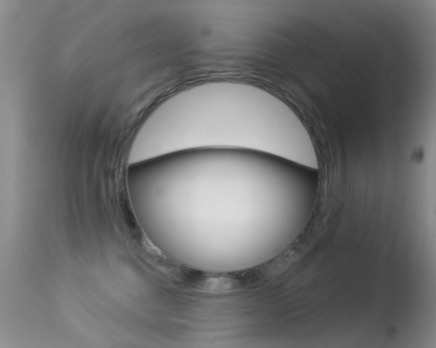 X0000113530376200909181006