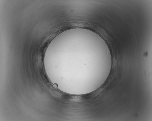 X0000113530377200909181006