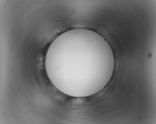 X0000113530378200909181006