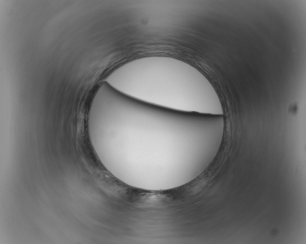 X0000113530379200909181006