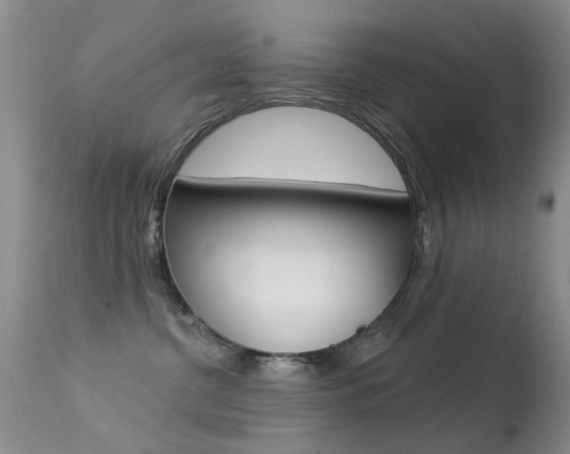 X0000113530380200909181006