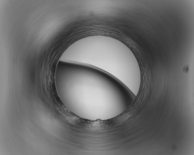 X0000113530382200909181006