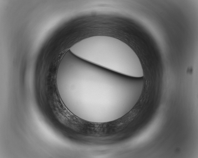 X0000113530383200909181006