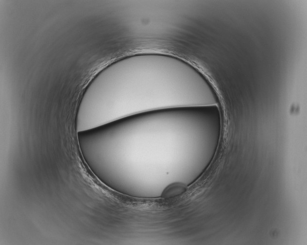 X0000113530385200909181005