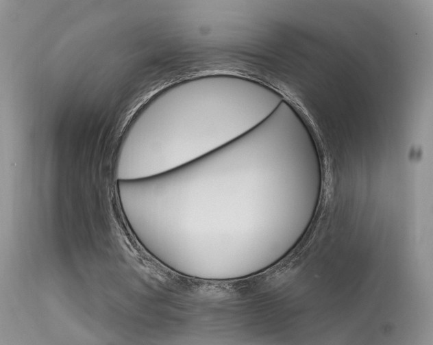 X0000113530386200909181005