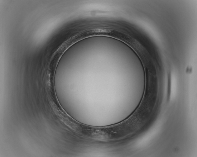 X0000113530387200909181005