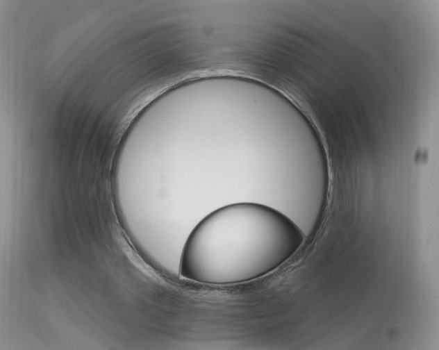 X0000113530389200909181005