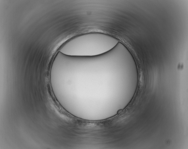 X0000113530390200909181005