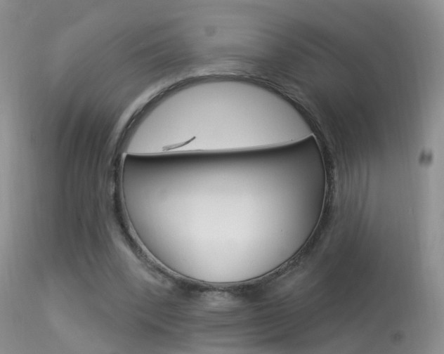 X0000113530392200909181005