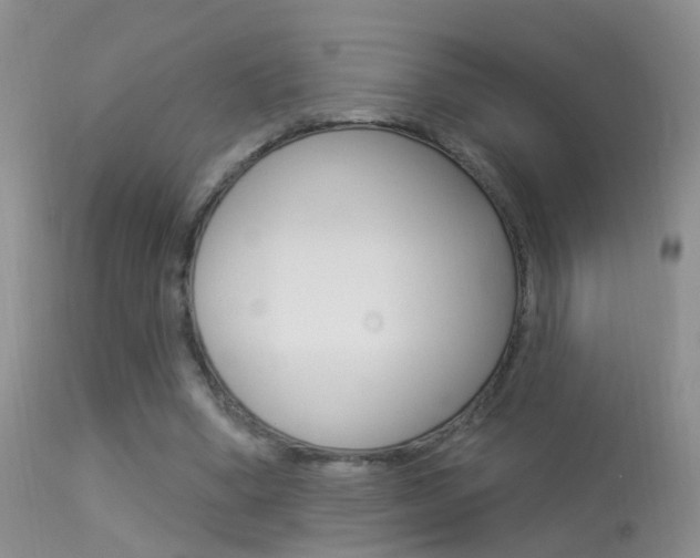 X0000113530394200909181005