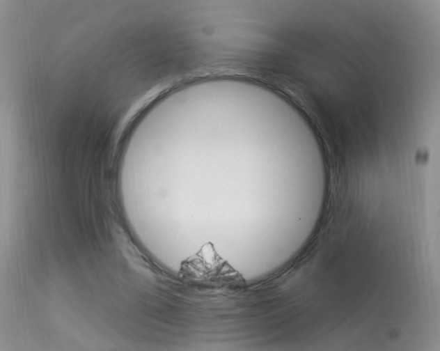 X0000113530395200909181005