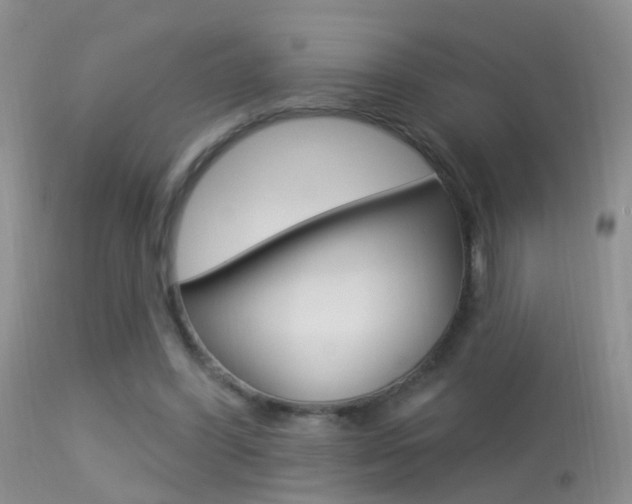 X0000113530396200909181005