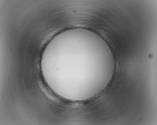 X0000113530398200909181005