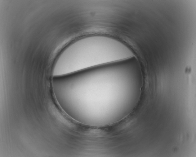 X0000113530399200909181005