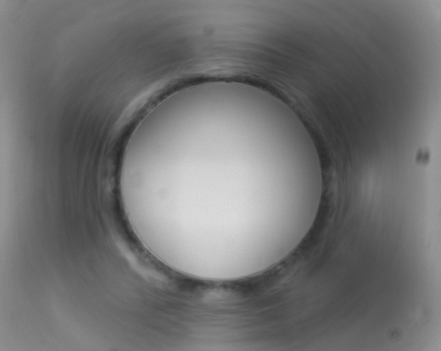 X0000113530400200909181005