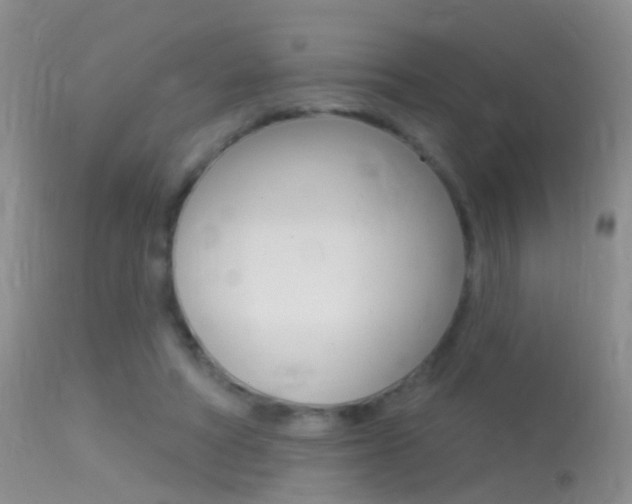 X0000113530402200909181005