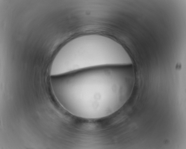 X0000113530404200909181005