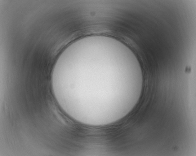 X0000113530405200909181005